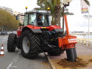 Dessouchage par carottage de palmiers à Cannes